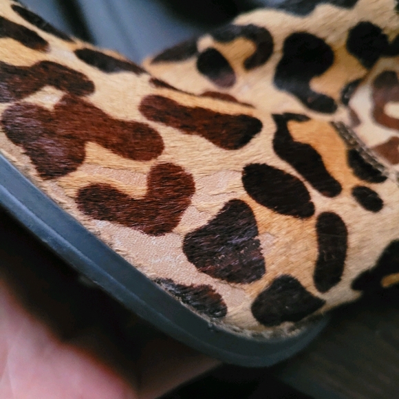 Very Volatile | Leopard Ponyhair Wedge Bootie 9 - Picture 14 of 15